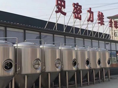 站前精酿啤酒设备厂—市场规模与跨界新需求